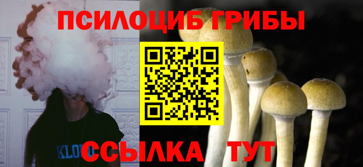 Галлюциногенные грибы ЛСД Арсеньев