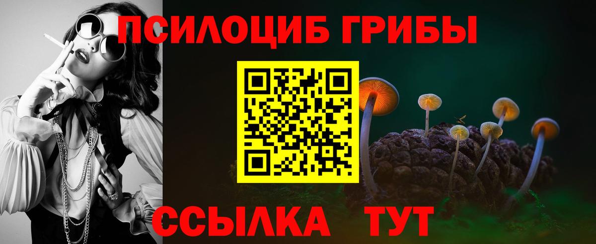 Арсеньев  Псилоцибиновые грибы мухоморы  Галлюциногенные грибы мицелий  как найти   Вход с VPN 